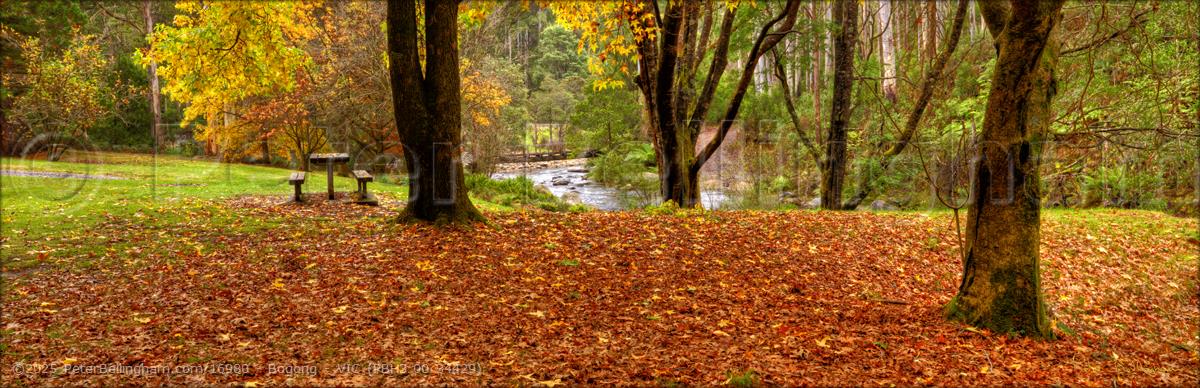 Peter Bellingham Photography Bogong - VIC (PBH3 00 34429)